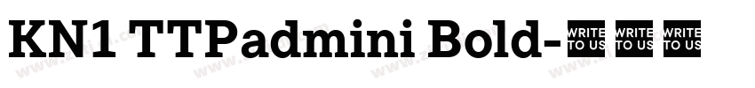 KN1 TTPadmini Bold字体转换